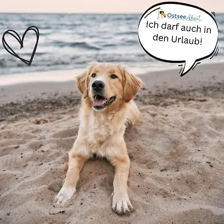 Appartement 3sz Penthaus Luna Am Sandstrand Mit Meerblick & Balkon *